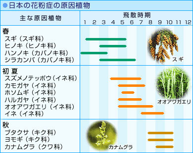 原因植物と飛散時期の表